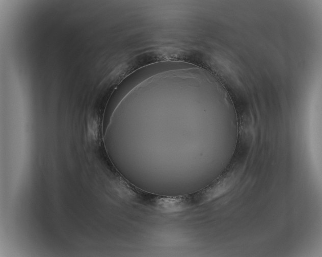 X0000112070139200908041241