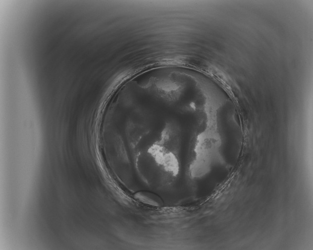 X0000112070145200908041241