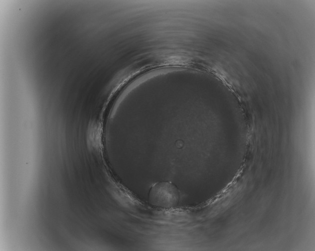 X0000112070146200908041241