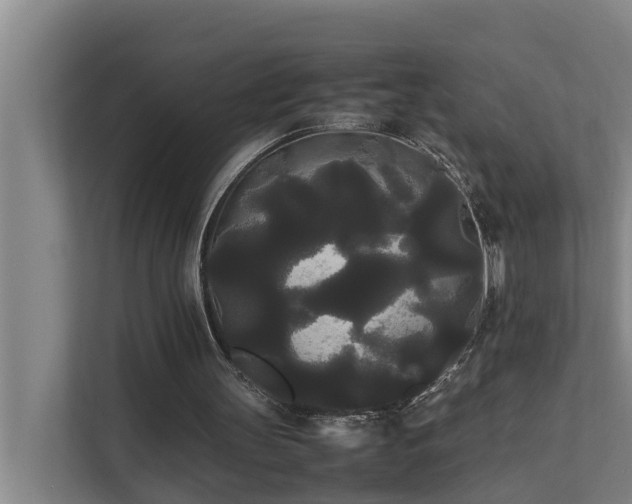 X0000112070147200908041241