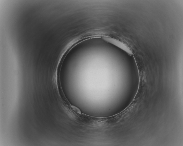 X0000112070148200908041241