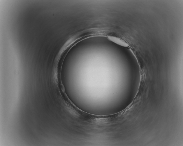 X0000112070150200908041241