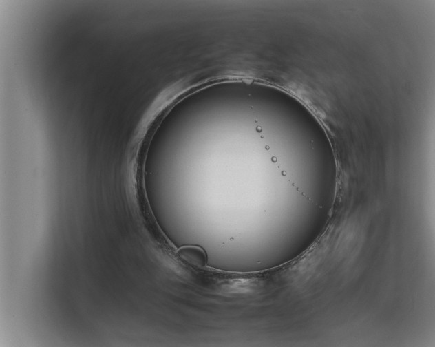 X0000112070151200908041241