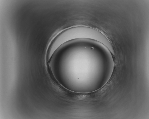 X0000112070152200908041241