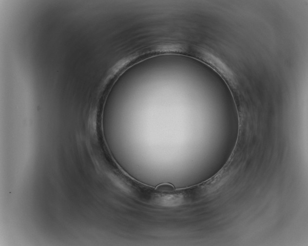 X0000112070155200908041241