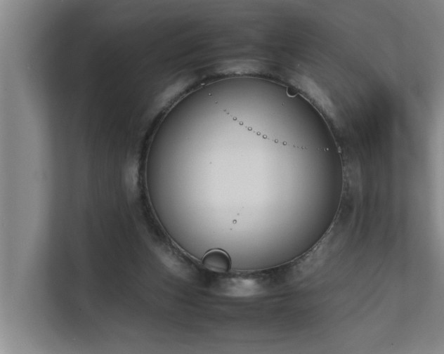 X0000112070159200908041241