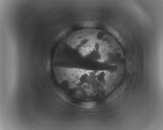 X0000112070161200908041241