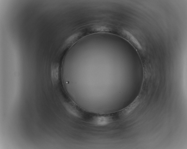 X0000112070163200908041241