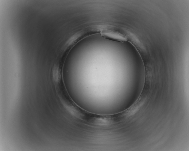 X0000112070164200908041241