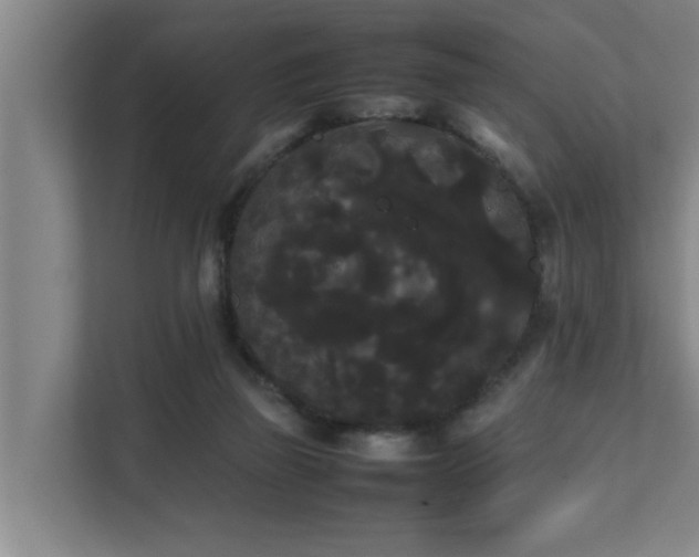 X0000112070165200908041241