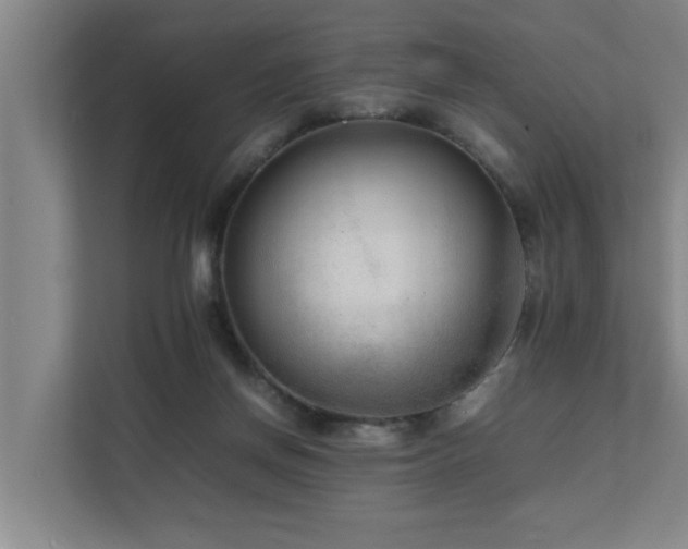 X0000112070166200908041241