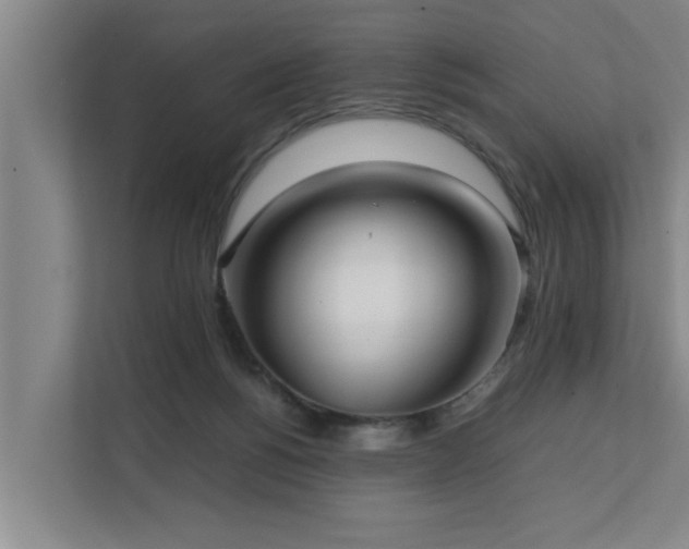 X0000112070168200908041241