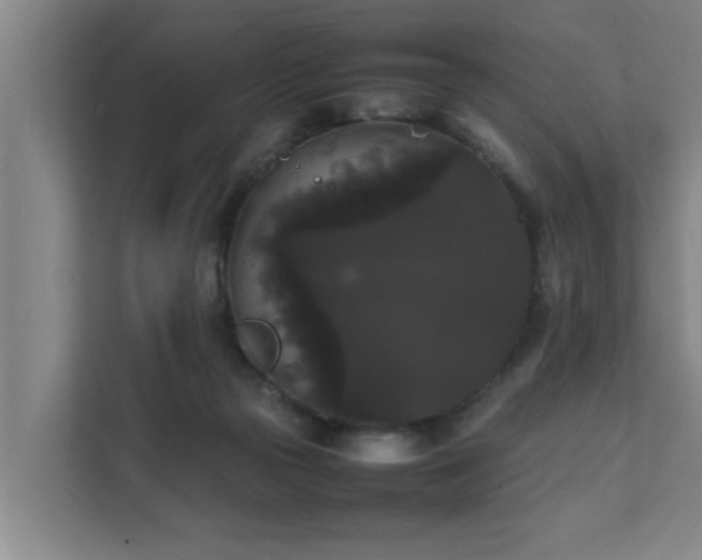 X0000112070169200908041241