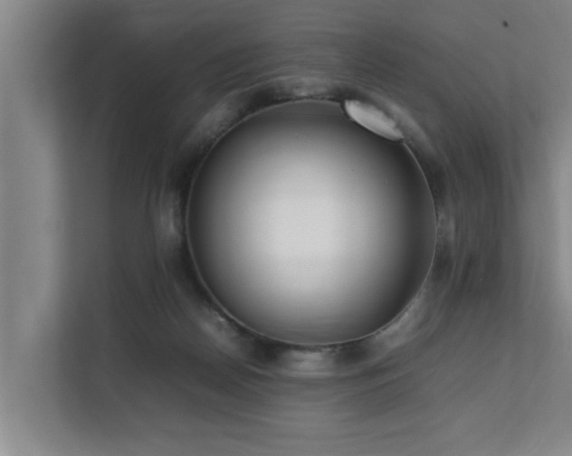 X0000112070170200908041241