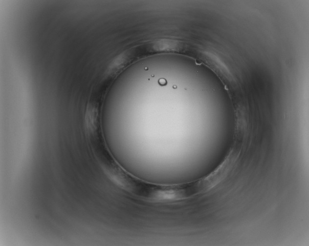 X0000112070171200908041241