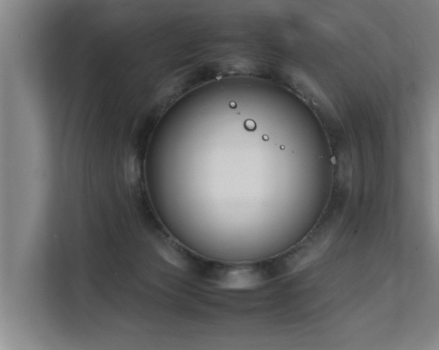 X0000112070173200908041241