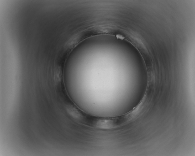 X0000112070174200908041241