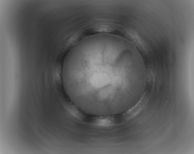 X0000112070175200908041241