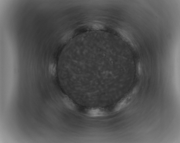 X0000112070177200908041241