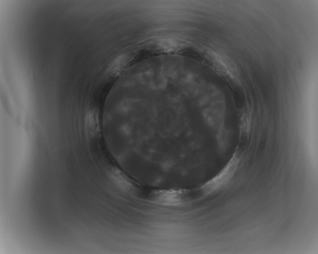 X0000112070182200908041241