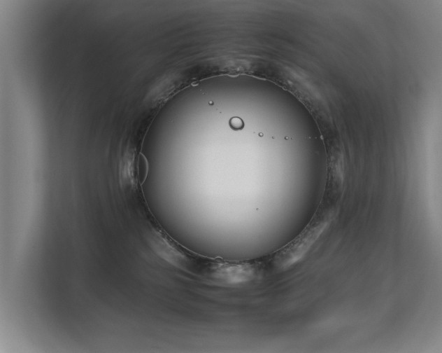 X0000112070185200908041241