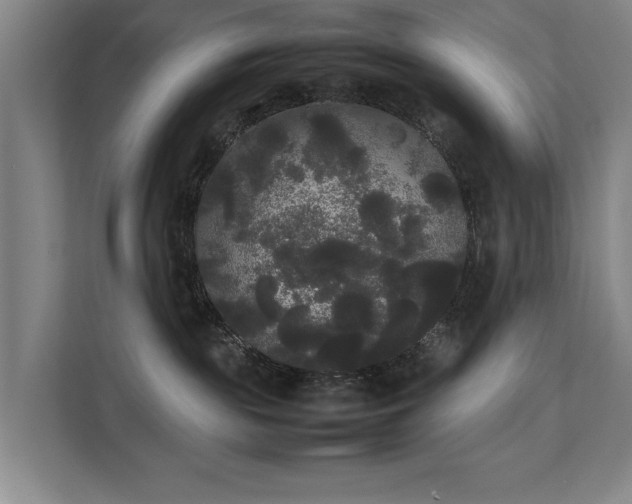 X0000112070189200908041241