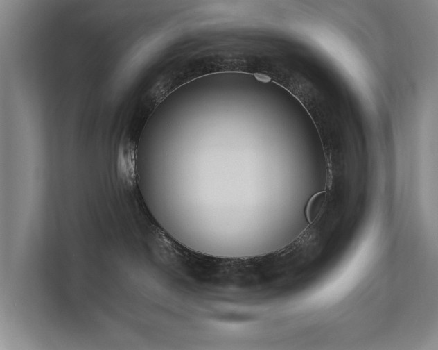 X0000112070190200908041241