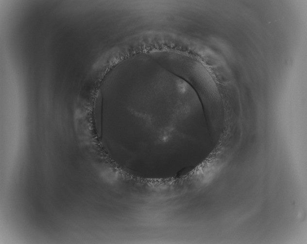 X0000112070192200908041241