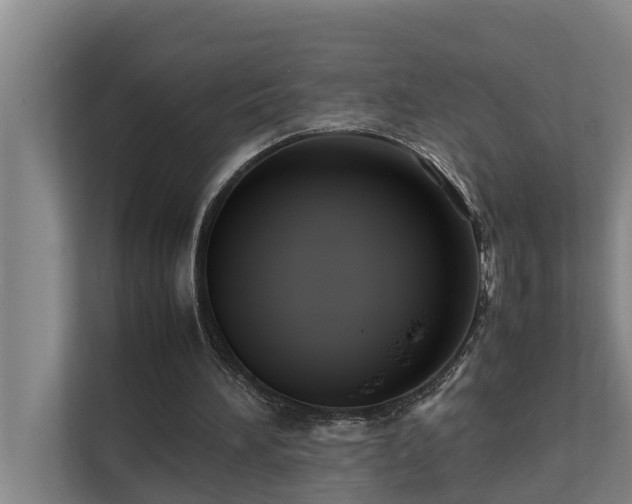 X0000112070196200908041241