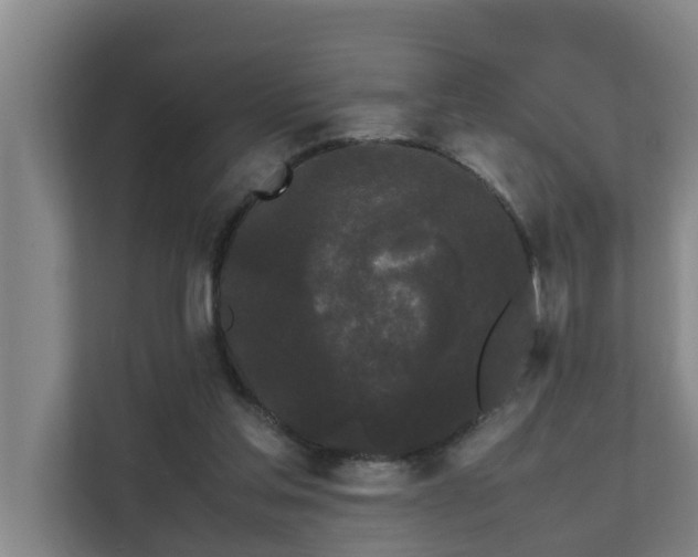 X0000112070205200908041240