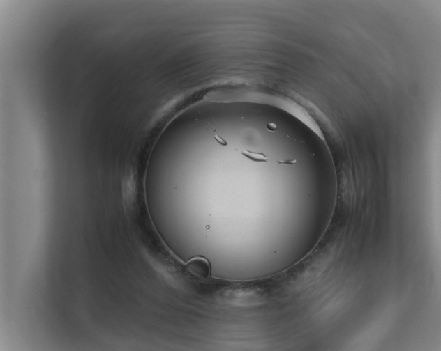 X0000112070208200908041240