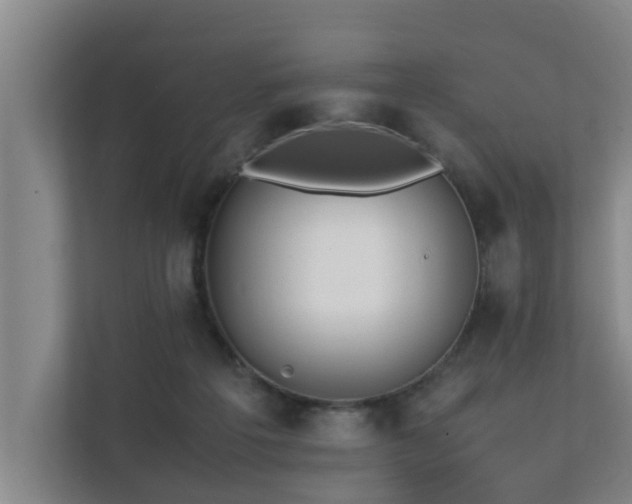 X0000112070217200908041240