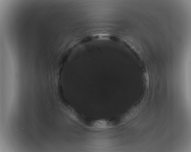 X0000112070227200908041240