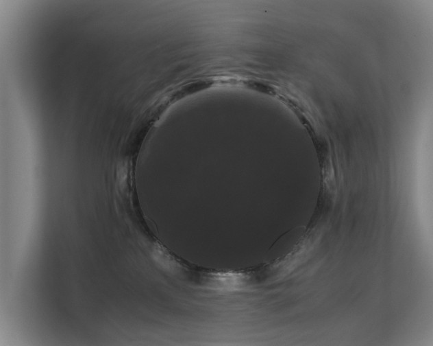 X0000112070233200908041240