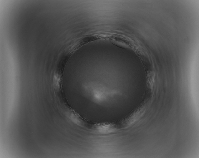 X0000112070235200908041240