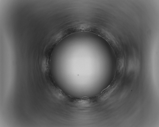 X0000112070236200908041240