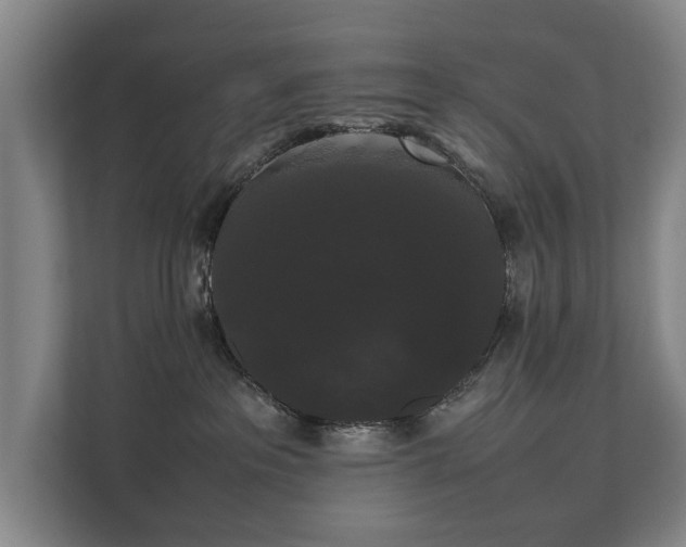 X0000112070237200908041240