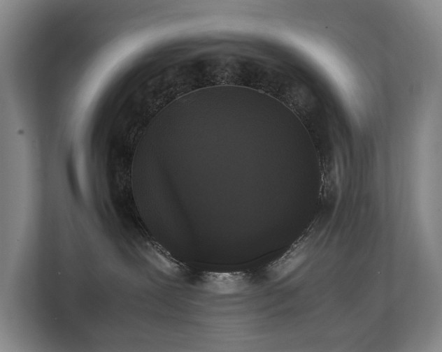 X0000112070239200908041240