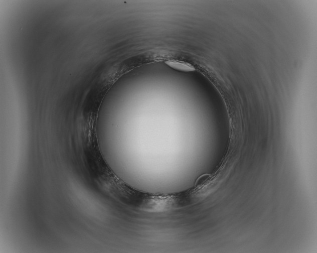 X0000112070240200908041240