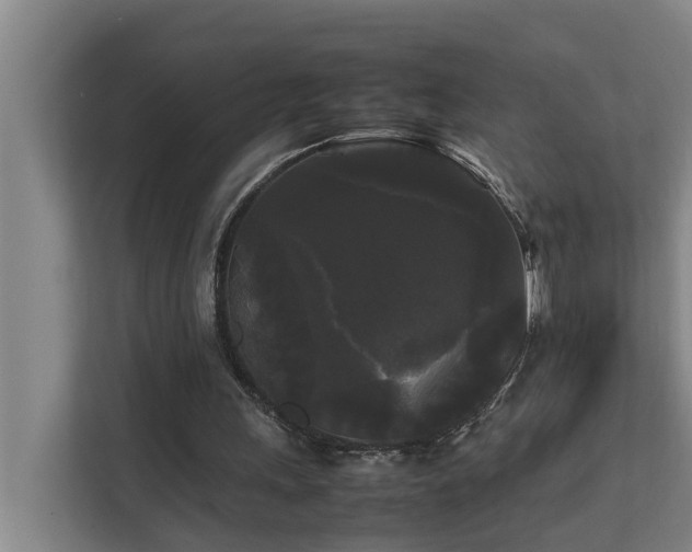 X0000112070243200908041239