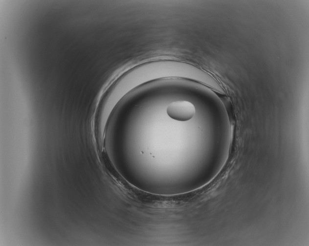 X0000112070244200908041239