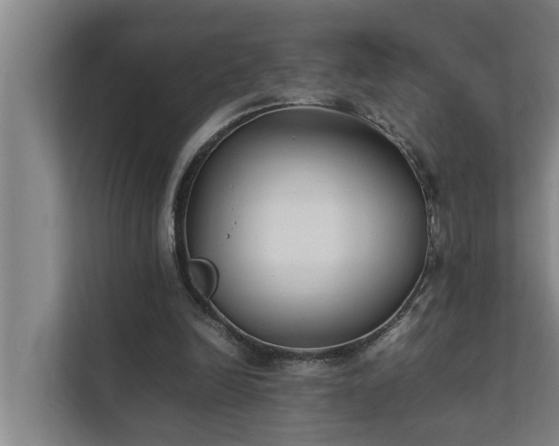 X0000112070246200908041239