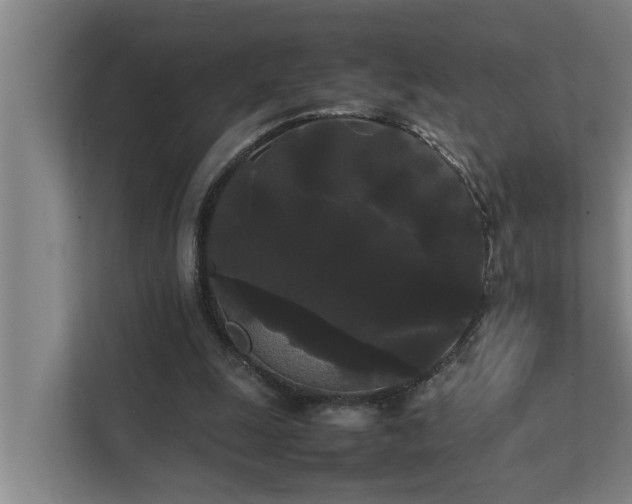 X0000112070247200908041239