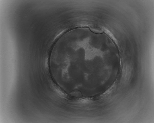 X0000112070249200908041239