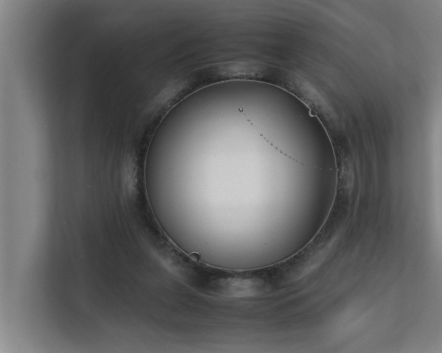 X0000112070255200908041240