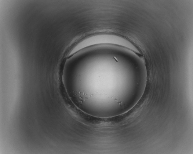 X0000112070256200908041240