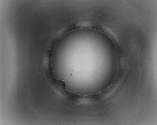 X0000112070259200908041240