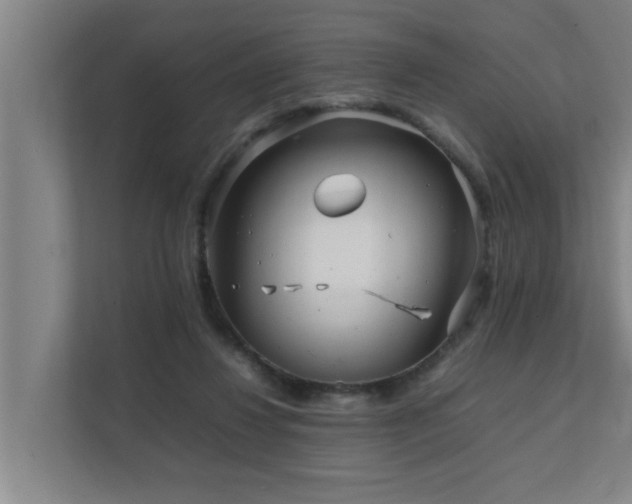 X0000112070260200908041240