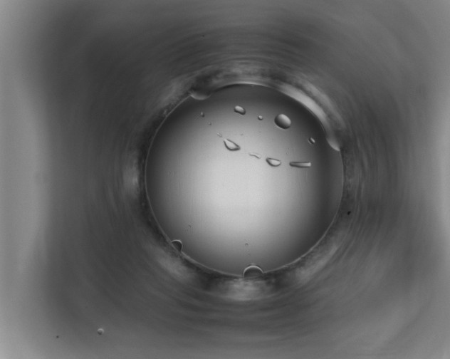 X0000112070261200908041240