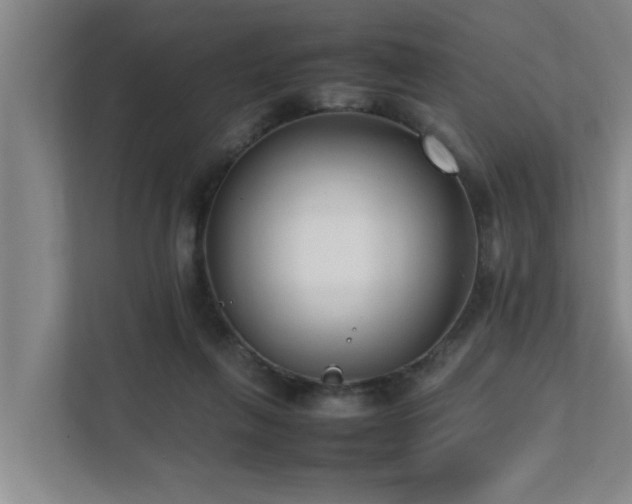 X0000112070263200908041240